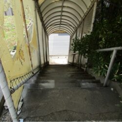 現地